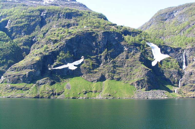 Fjords (58).jpg